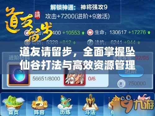 道友请留步，全面掌握坠仙谷打法与高效资源管理的艺术指南