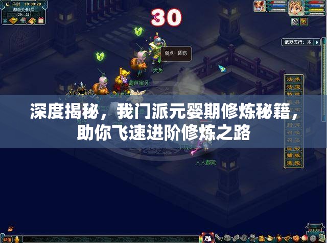 深度揭秘，我门派元婴期修炼秘籍，助你飞速进阶修炼之路