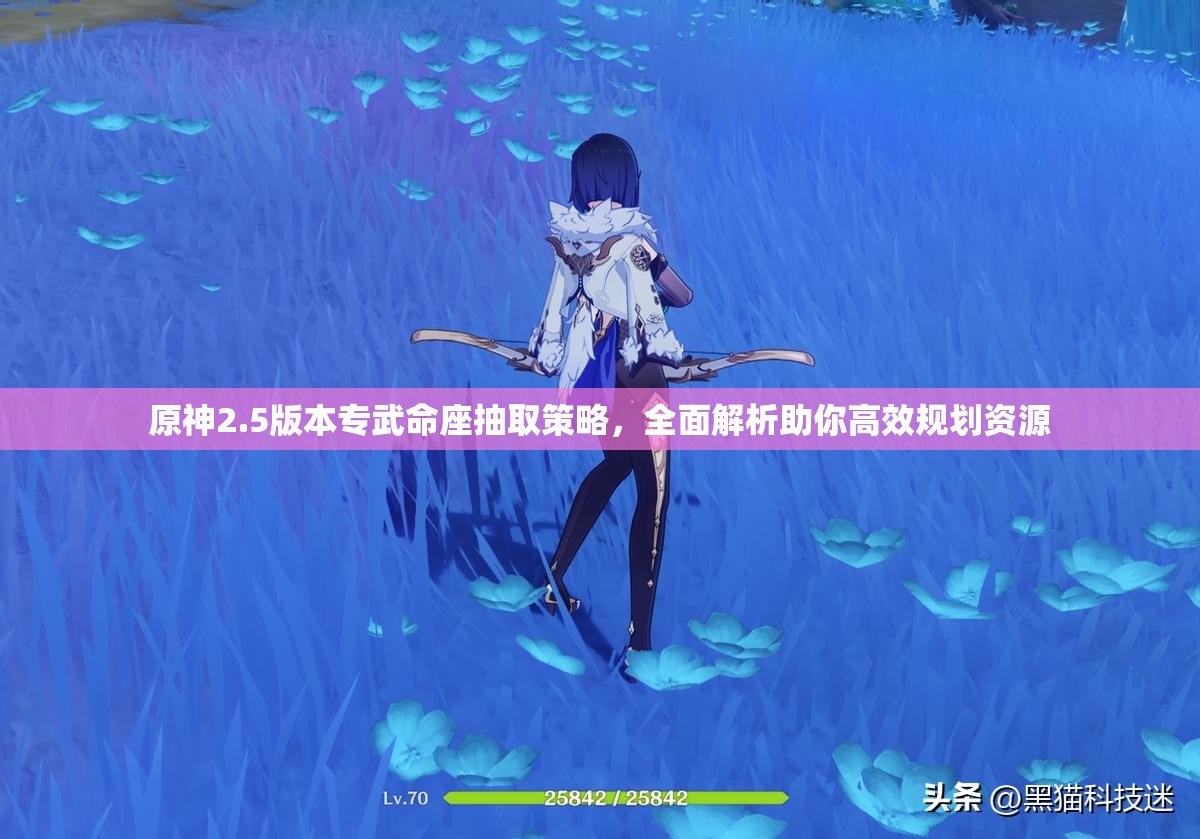 原神2.5版本专武命座抽取策略，全面解析助你高效规划资源