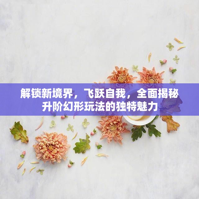 解锁新境界，飞跃自我，全面揭秘升阶幻形玩法的独特魅力