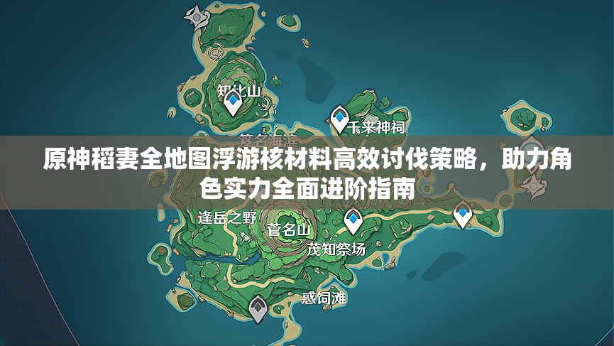 原神稻妻全地图浮游核材料高效讨伐策略，助力角色实力全面进阶指南