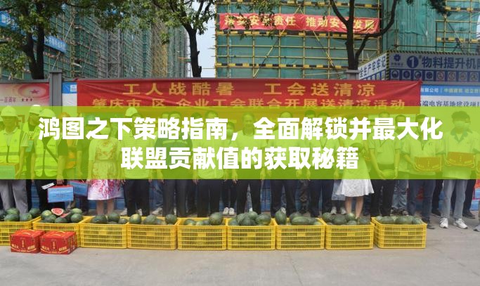 鸿图之下策略指南，全面解锁并最大化联盟贡献值的获取秘籍