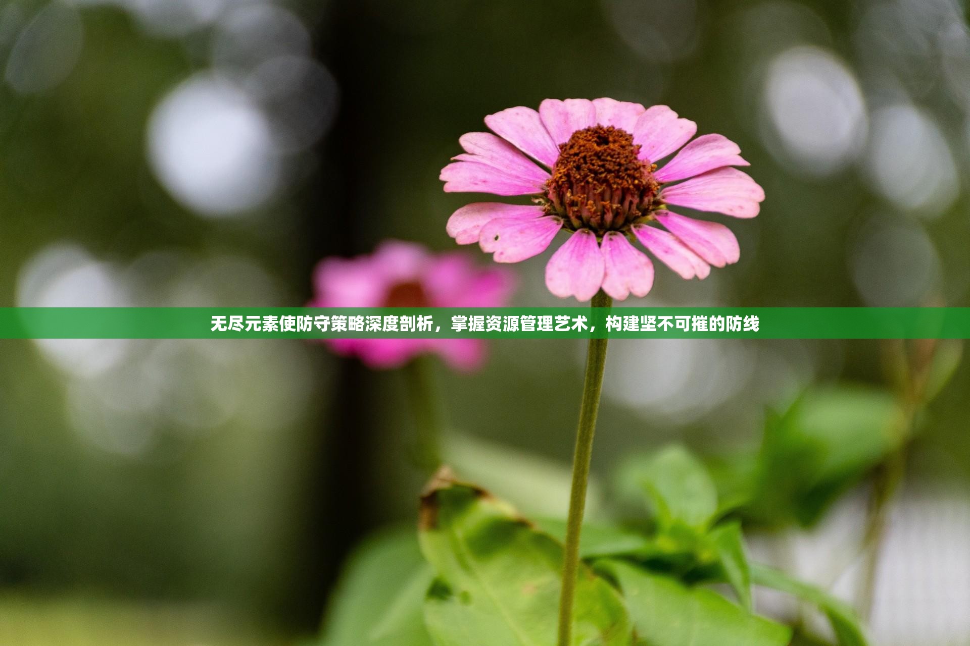 无尽元素使防守策略深度剖析，掌握资源管理艺术，构建坚不可摧的防线