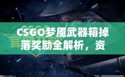 CSGO梦魇武器箱掉落奖励全解析，资源管理、高效利用策略以最大化其价值