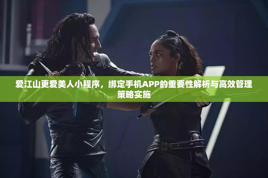 爱江山更爱美人小程序，绑定手机APP的重要性解析与高效管理策略实施