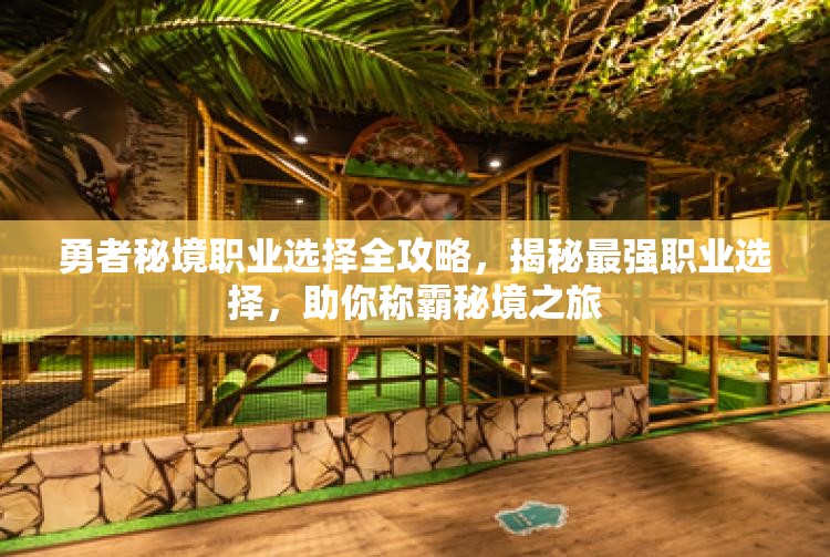 勇者秘境职业选择全攻略，揭秘最强职业选择，助你称霸秘境之旅