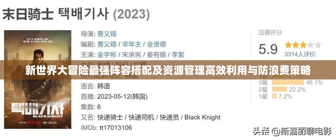 新世界大冒险最强阵容搭配及资源管理高效利用与防浪费策略