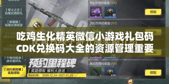 吃鸡生化精英微信小游戏礼包码CDK兑换码大全的资源管理重要性及高效整合利用策略