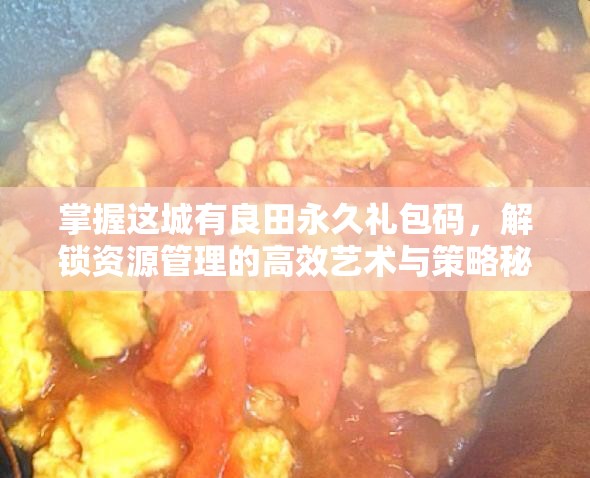 掌握这城有良田永久礼包码，解锁资源管理的高效艺术与策略秘籍