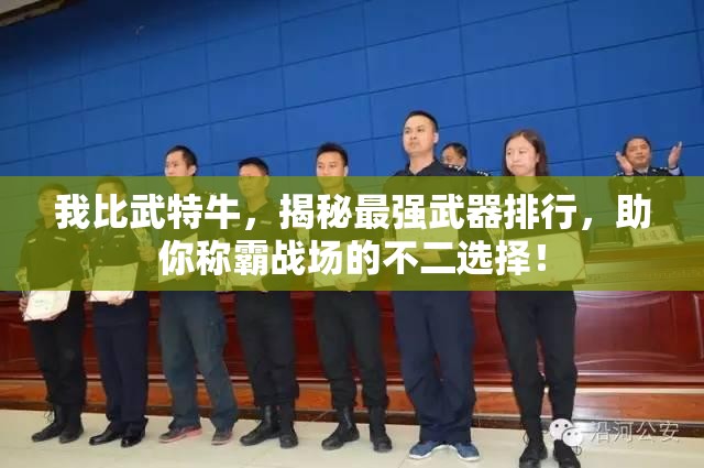 我比武特牛，揭秘最强武器排行，助你称霸战场的不二选择！