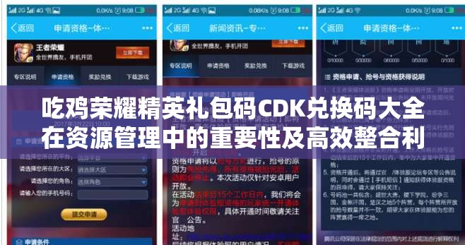 吃鸡荣耀精英礼包码CDK兑换码大全在资源管理中的重要性及高效整合利用策略
