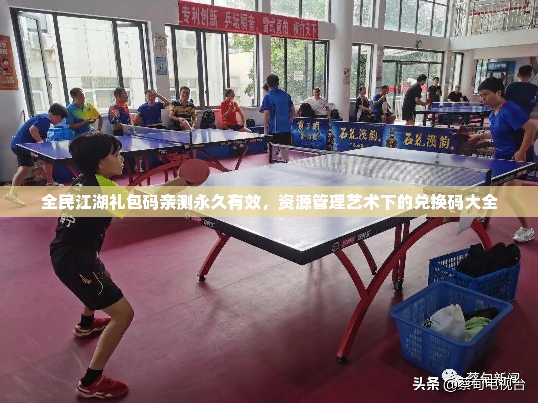 全民江湖礼包码亲测永久有效，资源管理艺术下的兑换码大全