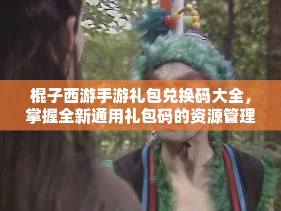 棍子西游手游礼包兑换码大全，掌握全新通用礼包码的资源管理优化艺术