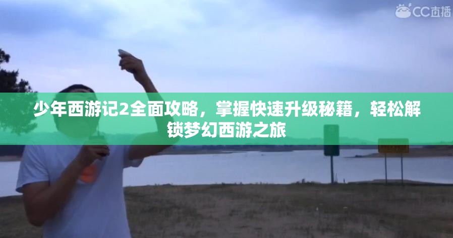 少年西游记2全面攻略，掌握快速升级秘籍，轻松解锁梦幻西游之旅