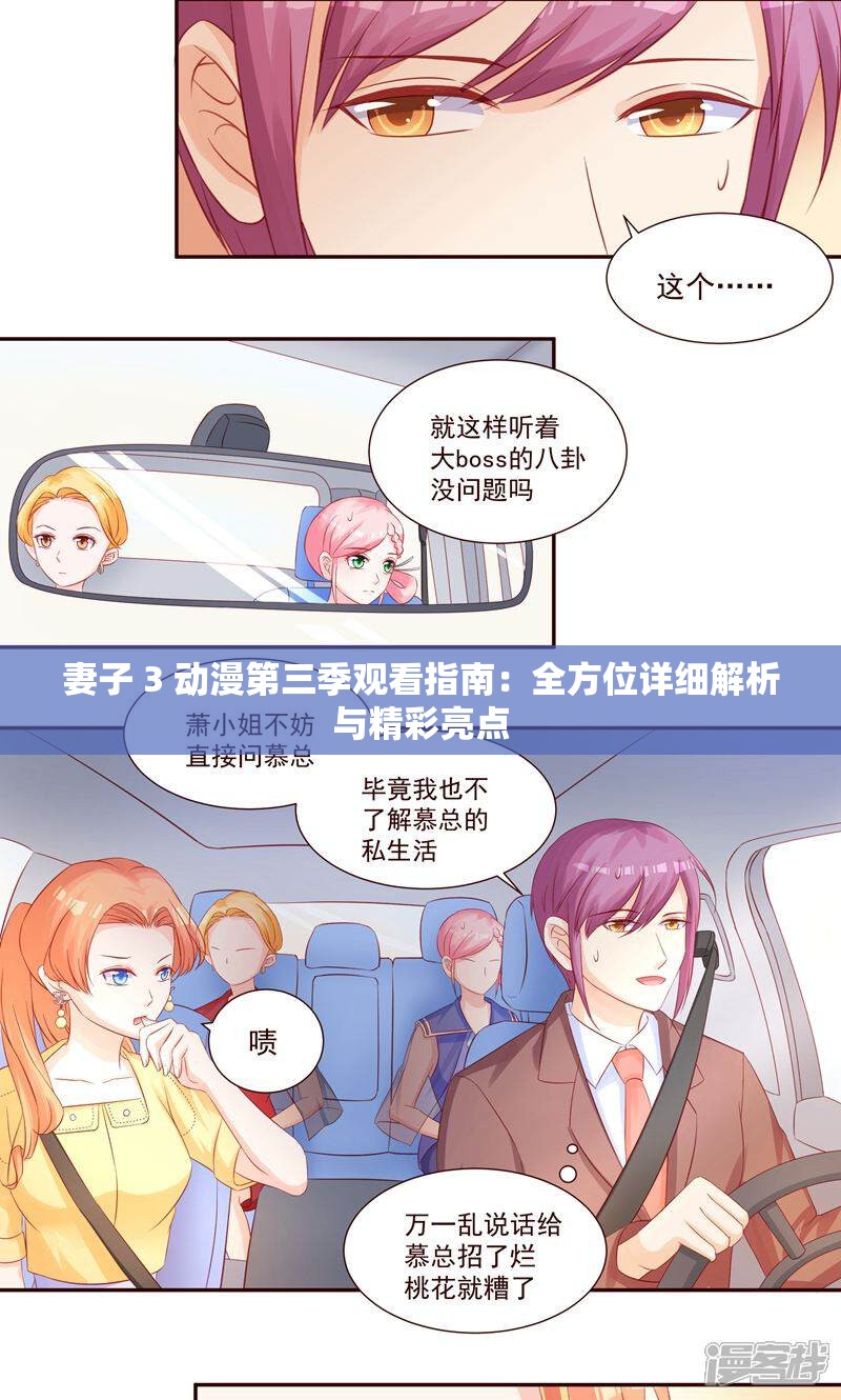 妻子 3 动漫第三季观看指南：全方位详细解析与精彩亮点