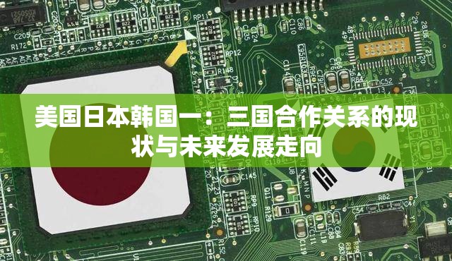 美国日本韩国一：三国合作关系的现状与未来发展走向