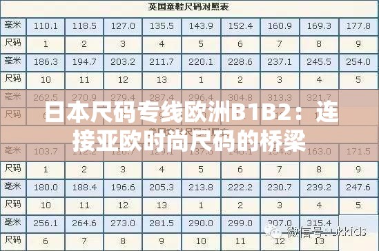 日本尺码专线欧洲B1B2：连接亚欧时尚尺码的桥梁