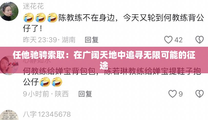 任他驰骋索取：在广阔天地中追寻无限可能的征途