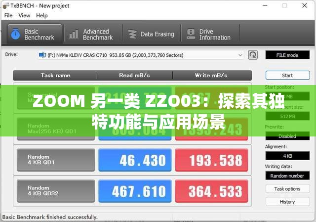 ZOOM 另一类 ZZO03：探索其独特功能与应用场景