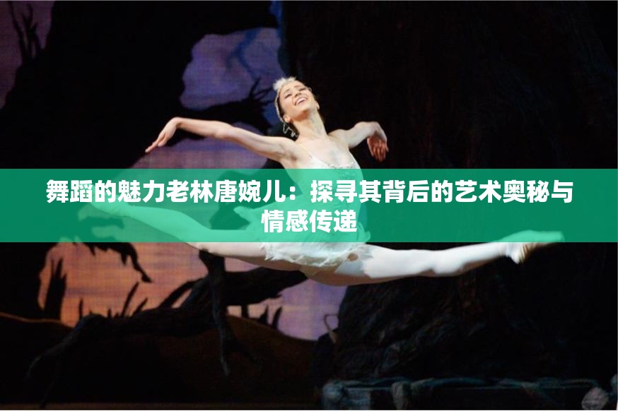 舞蹈的魅力老林唐婉儿：探寻其背后的艺术奥秘与情感传递