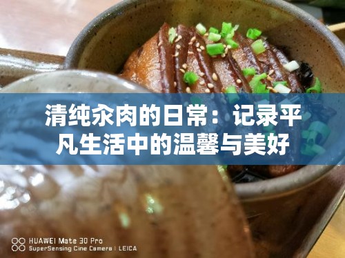 清纯汆肉的日常：记录平凡生活中的温馨与美好