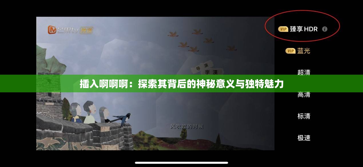 插入啊啊啊：探索其背后的神秘意义与独特魅力