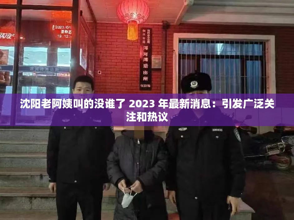 沈阳老阿姨叫的没谁了 2023 年最新消息：引发广泛关注和热议