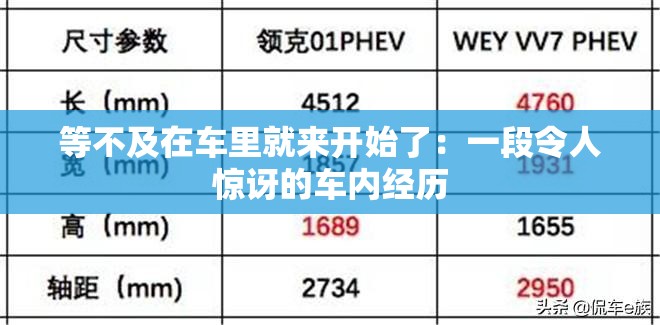 等不及在车里就来开始了：一段令人惊讶的车内经历