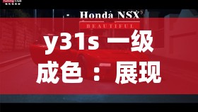 y31s 一级成色 ：展现卓越品质与出色性能的经典之选