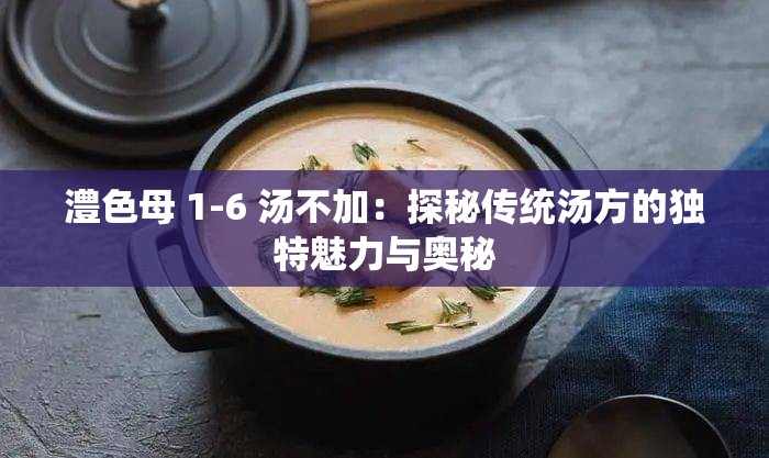 澧色母 1-6 汤不加：探秘传统汤方的独特魅力与奥秘