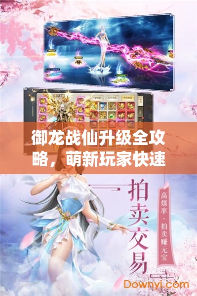 御龙战仙升级全攻略，萌新玩家快速崛起的必备秘籍与技巧
