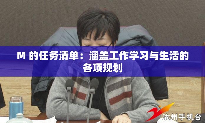 M 的任务清单：涵盖工作学习与生活的各项规划
