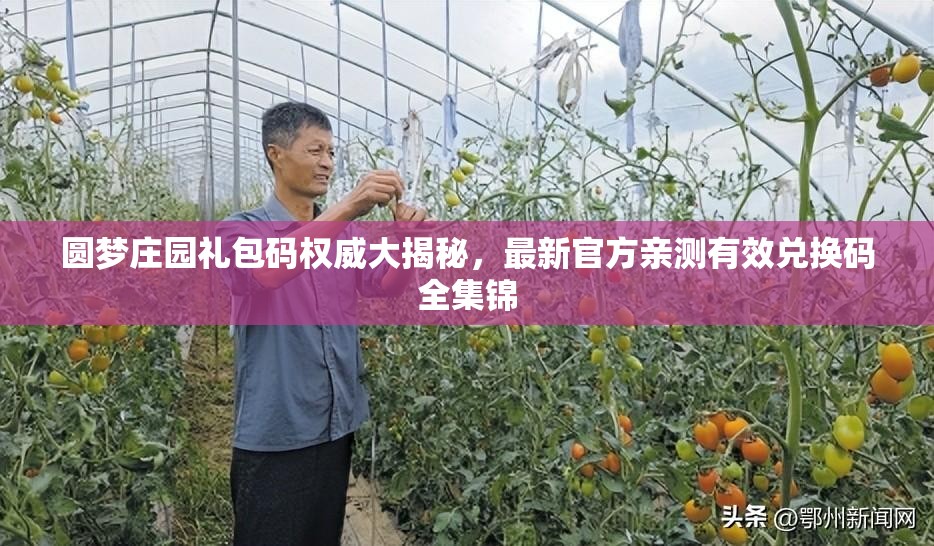 圆梦庄园礼包码权威大揭秘，最新官方亲测有效兑换码全集锦