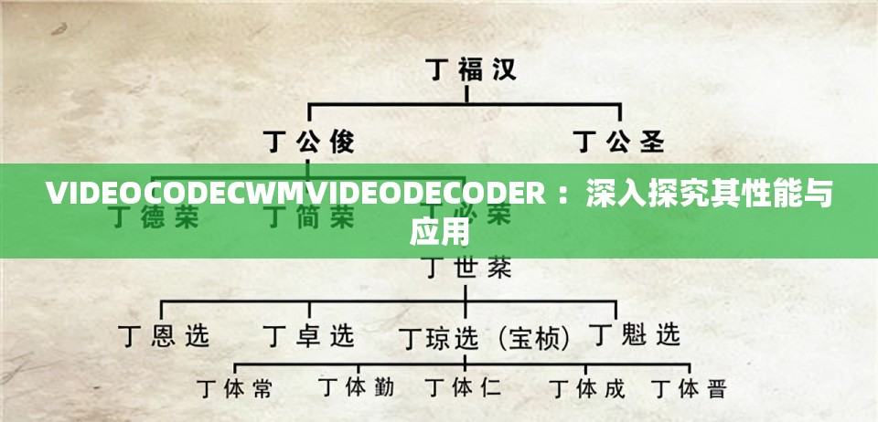 VIDEOCODECWMVIDEODECODER ：深入探究其性能与应用