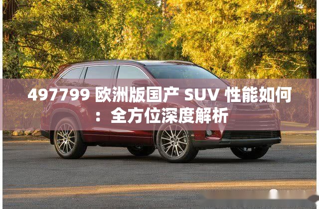 497799 欧洲版国产 SUV 性能如何：全方位深度解析