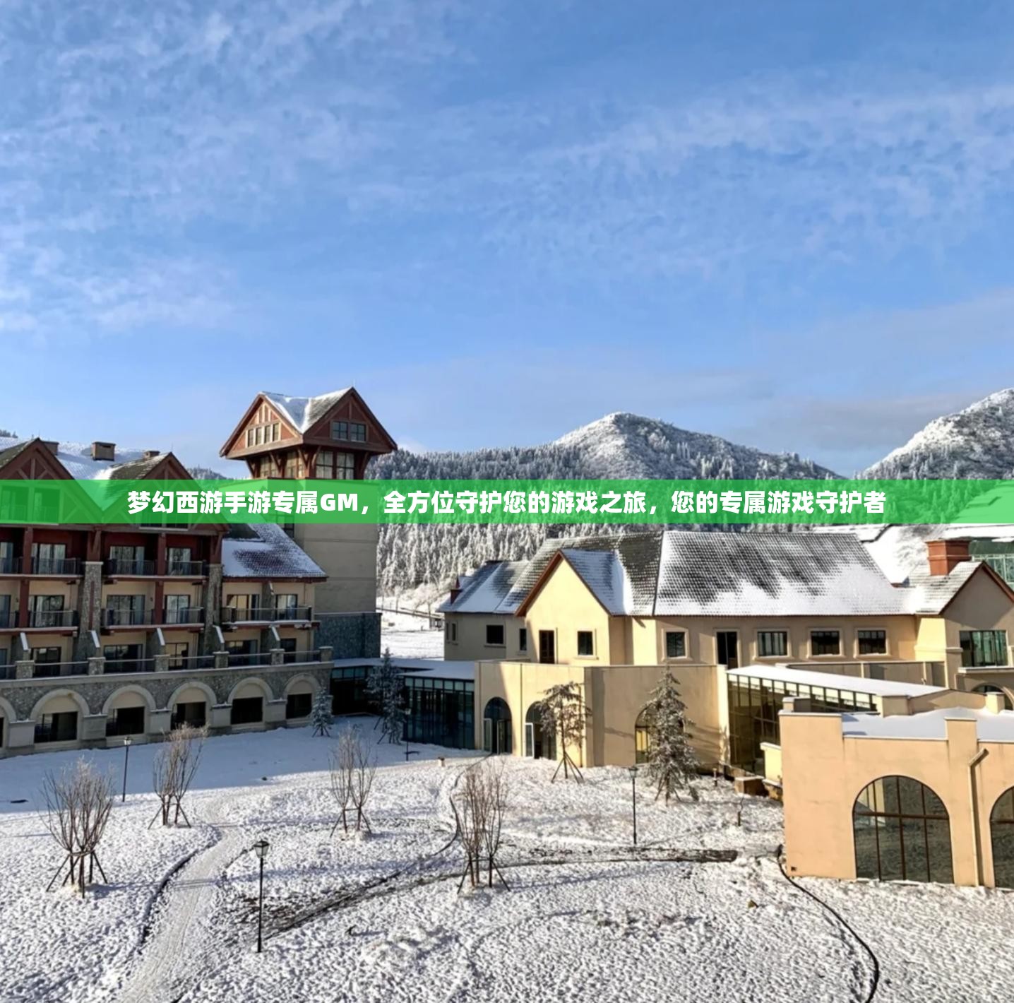 梦幻西游手游专属GM，全方位守护您的游戏之旅，您的专属游戏守护者