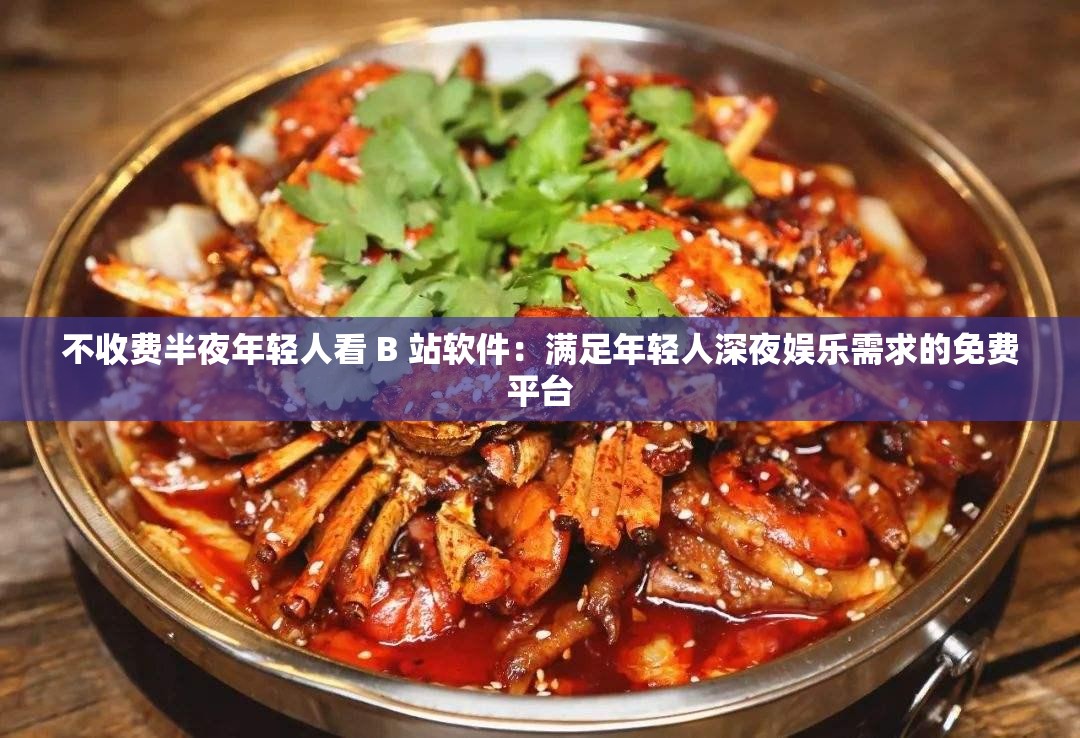 不收费半夜年轻人看 B 站软件：满足年轻人深夜娱乐需求的免费平台