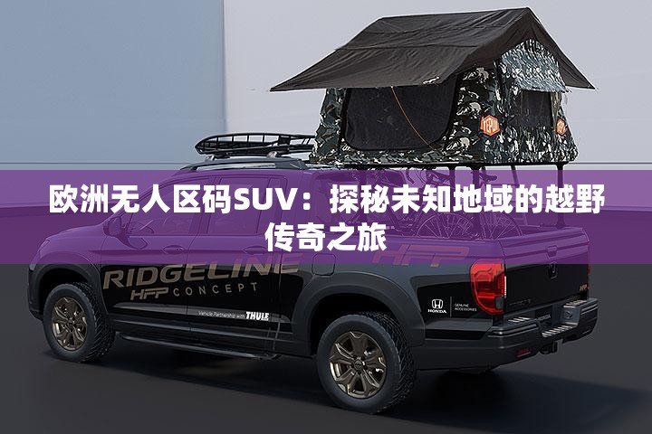 欧洲无人区码SUV：探秘未知地域的越野传奇之旅