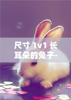 尺寸 1v1 长耳朵的兔子-超可爱萌物等你来欣赏