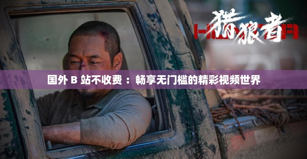 国外 B 站不收费 ：畅享无门槛的精彩视频世界