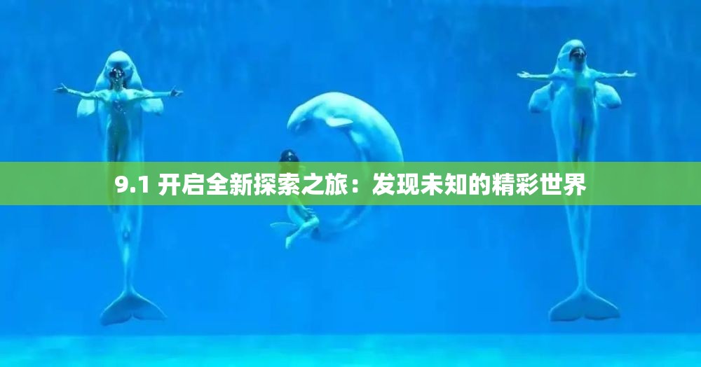 9.1 开启全新探索之旅：发现未知的精彩世界