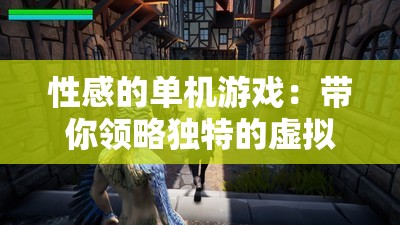 性感的单机游戏：带你领略独特的虚拟世界魅力
