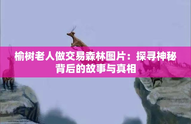 榆树老人做交易森林图片：探寻神秘背后的故事与真相