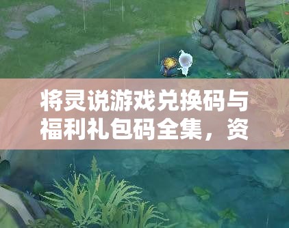 将灵说游戏兑换码与福利礼包码全集，资源管理、高效利用策略以实现价值最大化