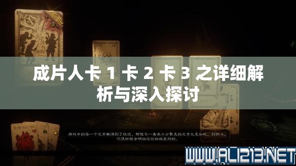 成片人卡 1 卡 2 卡 3 之详细解析与深入探讨