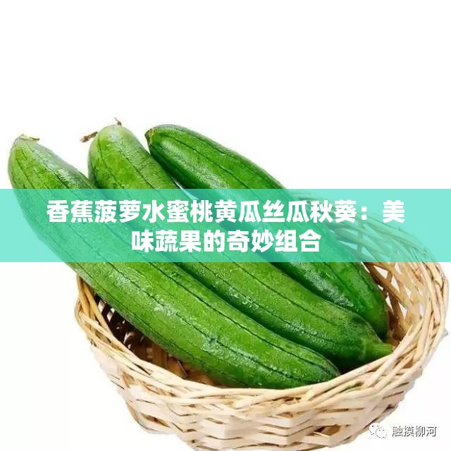 香蕉菠萝水蜜桃黄瓜丝瓜秋葵：美味蔬果的奇妙组合