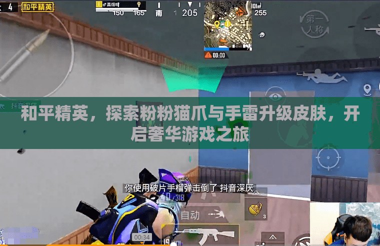 和平精英，探索粉粉猫爪与手雷升级皮肤，开启奢华游戏之旅