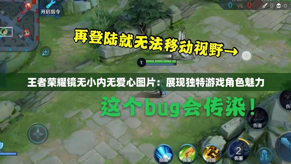 王者荣耀镜无小内无爱心图片：展现独特游戏角色魅力