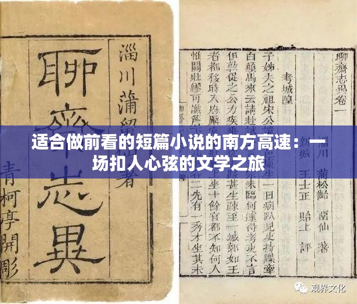 适合做前看的短篇小说的南方高速：一场扣人心弦的文学之旅