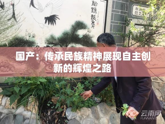 国产：传承民族精神展现自主创新的辉煌之路